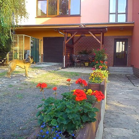 Apartments České Středohoří Teplice Quarto foto